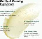Anua - Heartleaf + LHA Moisture Peeling Gel (Original)